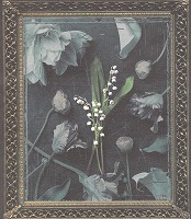 64�Â����j���p���t�摜